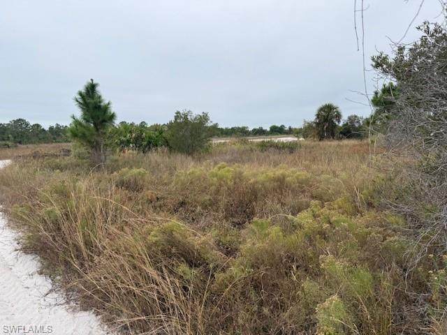  64th Ave - Photo 1