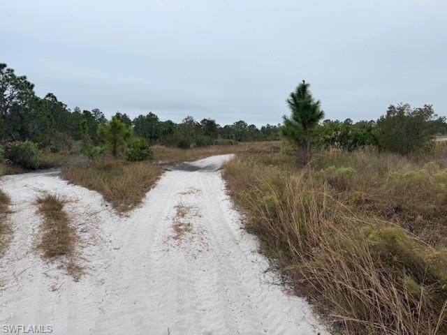 https://bt-photos.global.ssl.fastly.net/naples/orig_boomver_1_226007487-2.jpg