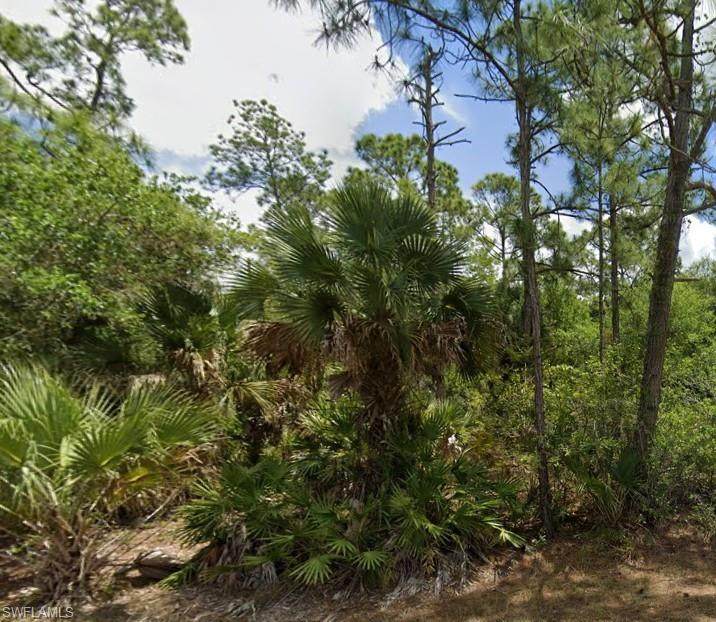 720 Louis Ave - Photo 1