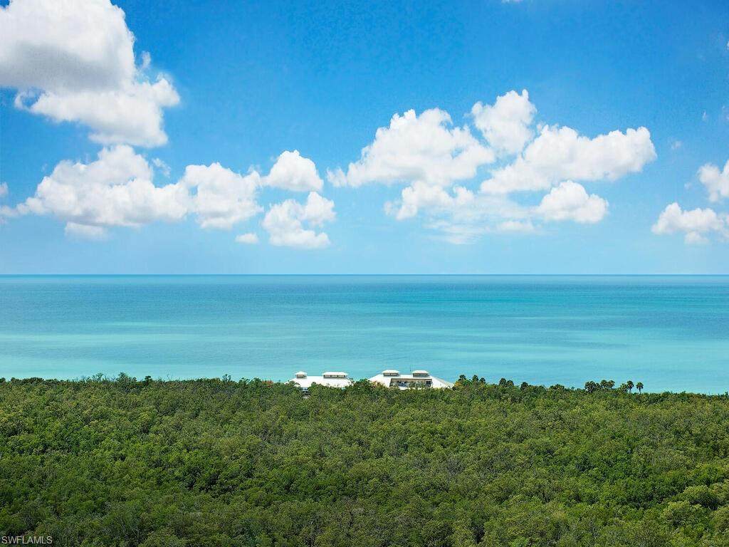 7225 Pelican Bay Blvd - Photo 1