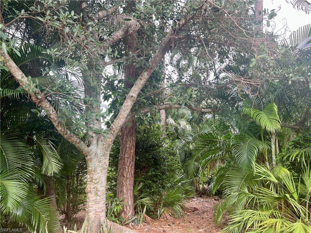 https://bt-photos.global.ssl.fastly.net/naples/orig_boomver_1_226012501-2.jpg
