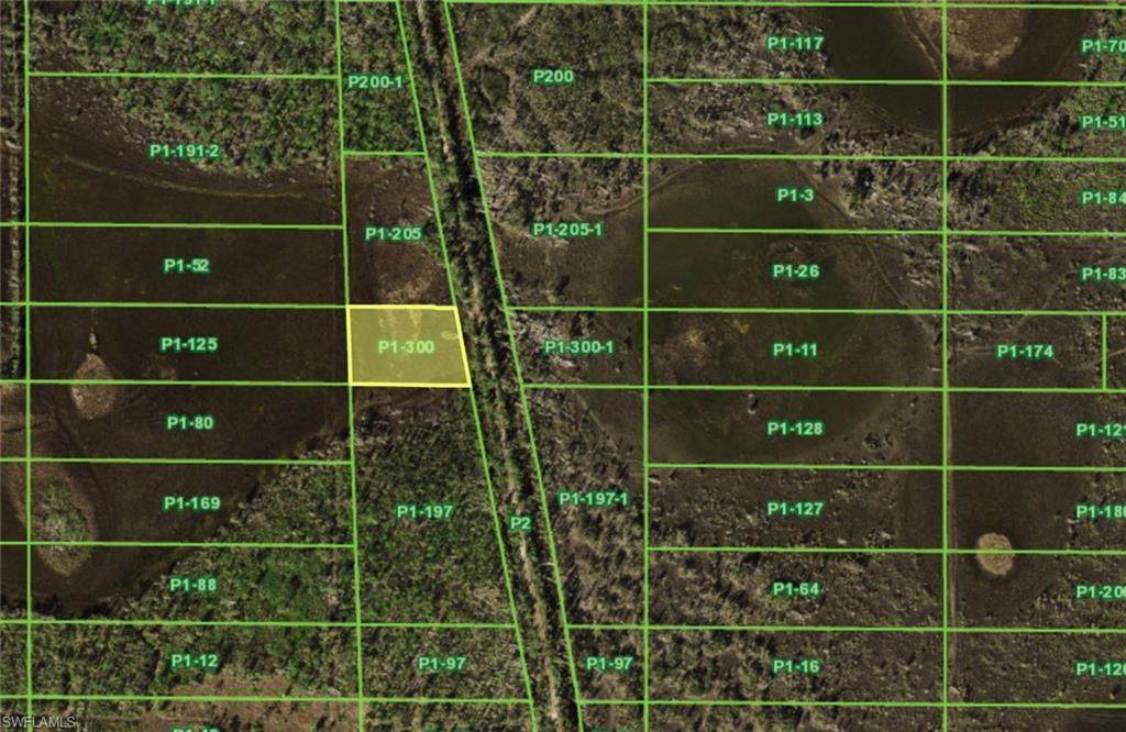 33072 Oil Well Rd - Photo 1