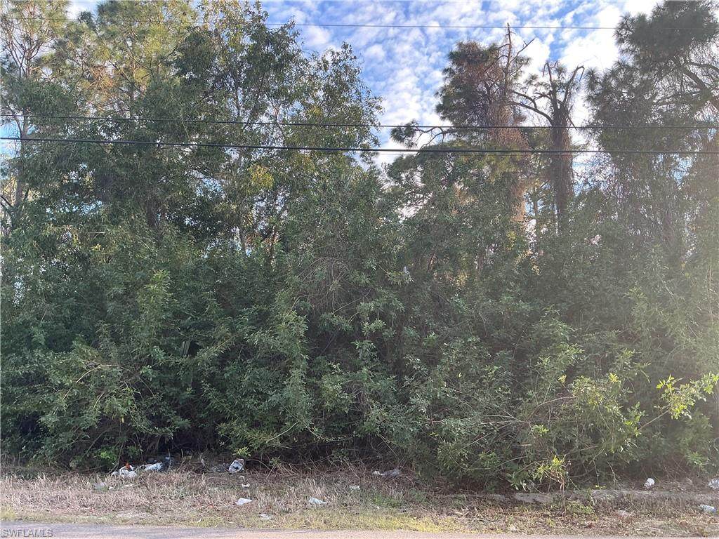 3811 4th St - Photo 1