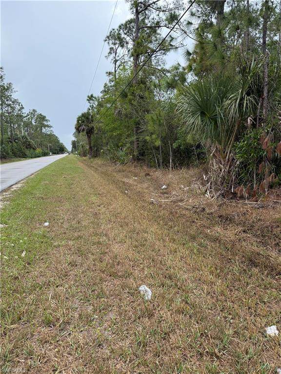  33rd Ave - Photo 1