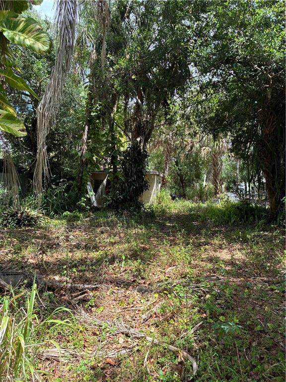 315 Buena Vista Blvd - Photo 1