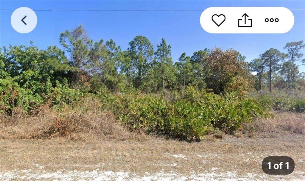 https://bt-photos.global.ssl.fastly.net/naples/orig_boomver_1_226023719-2.jpg