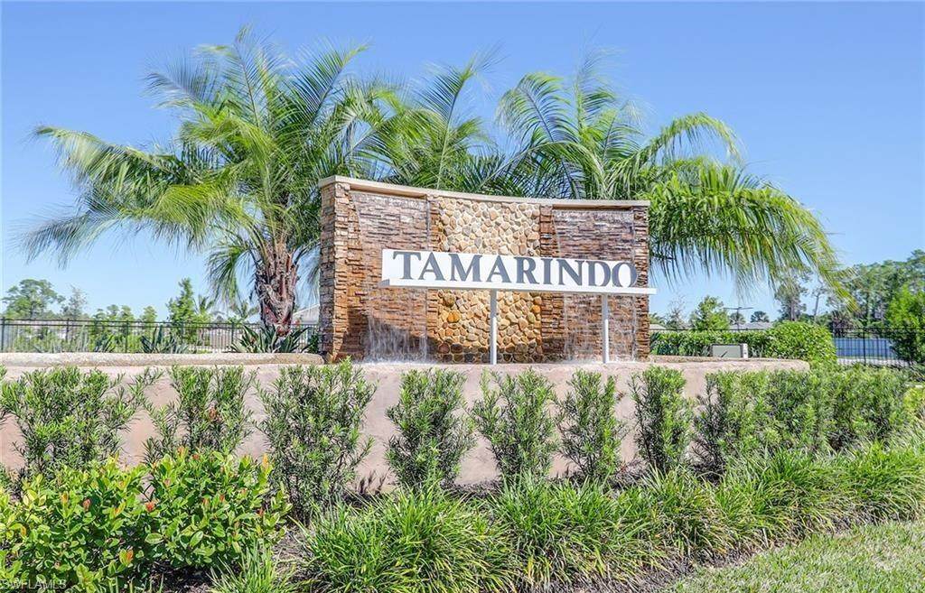 259 Tamarindo Ln - Photo 1