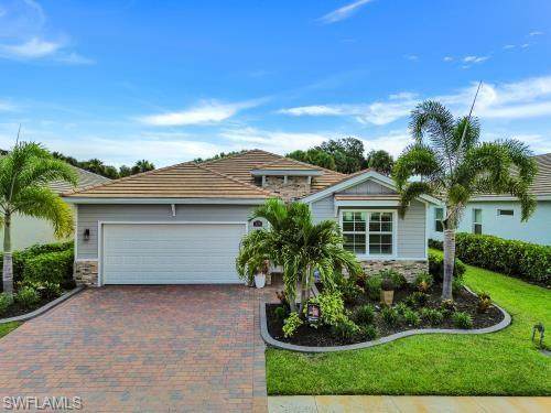 426 Tamarindo Ln - Photo 1
