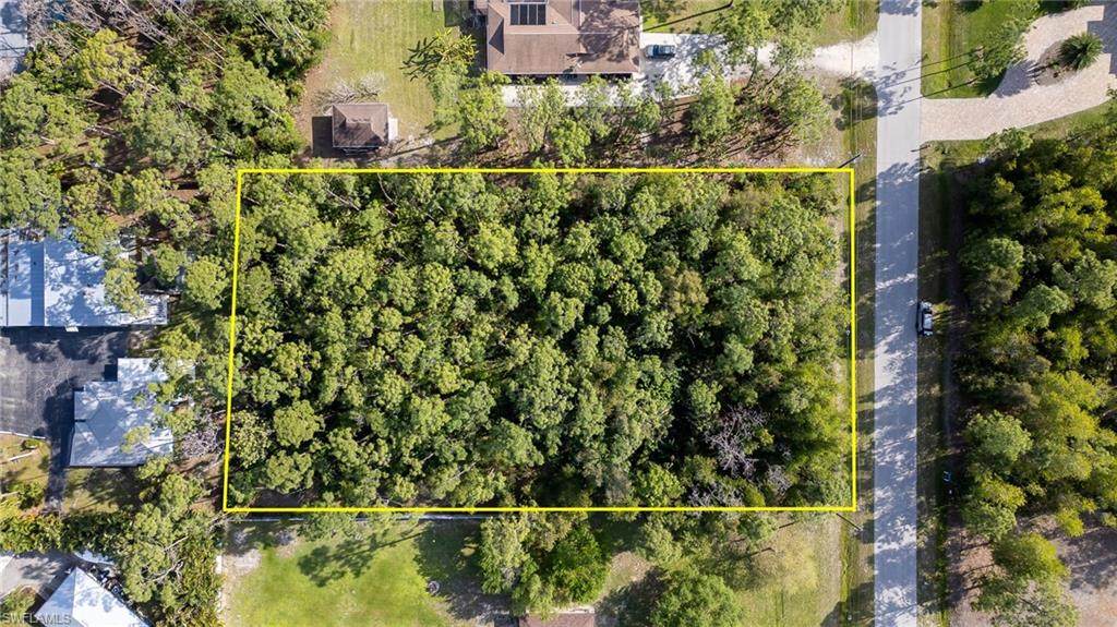 25421 Luci Dr - Photo 1