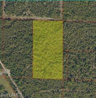 XXXX Woodland Grade Rd - Photo 1