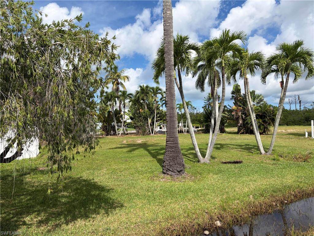 https://bt-photos.global.ssl.fastly.net/naples/orig_boomver_1_226035523-2.jpg
