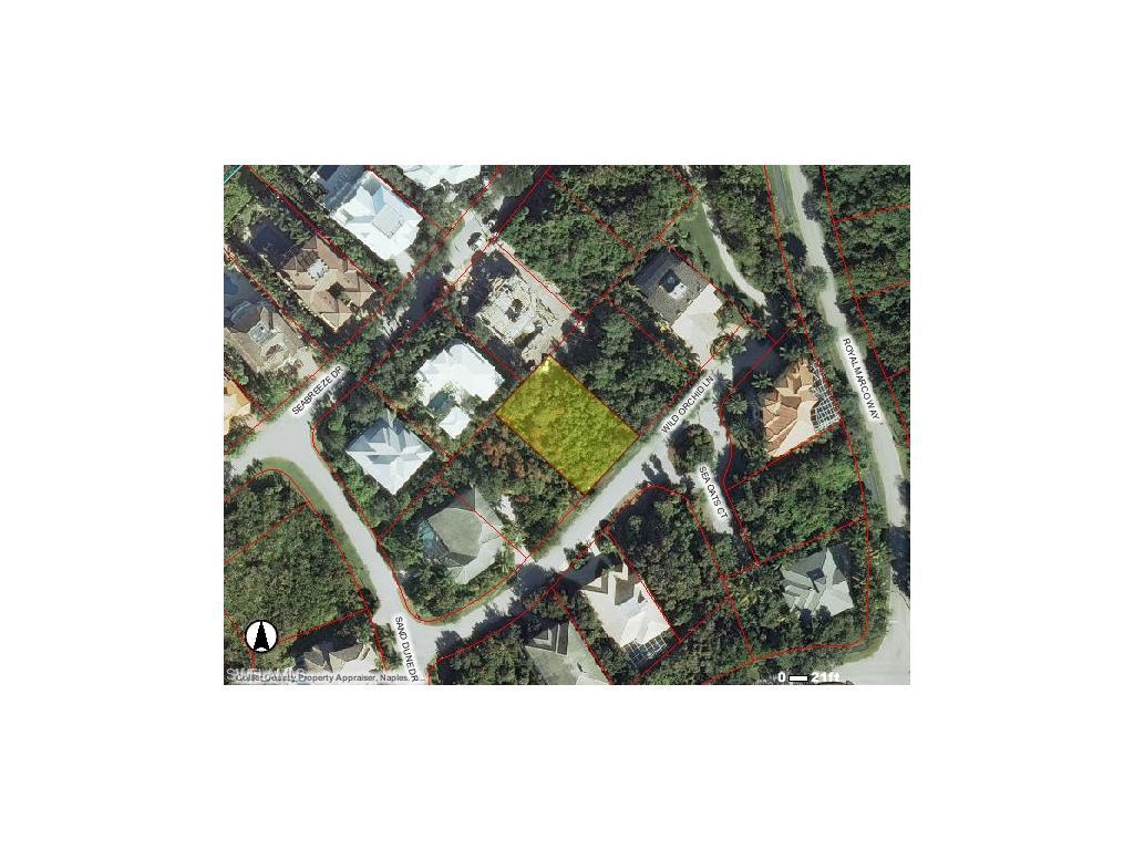 330 Wild Orchid Ln - Photo 1