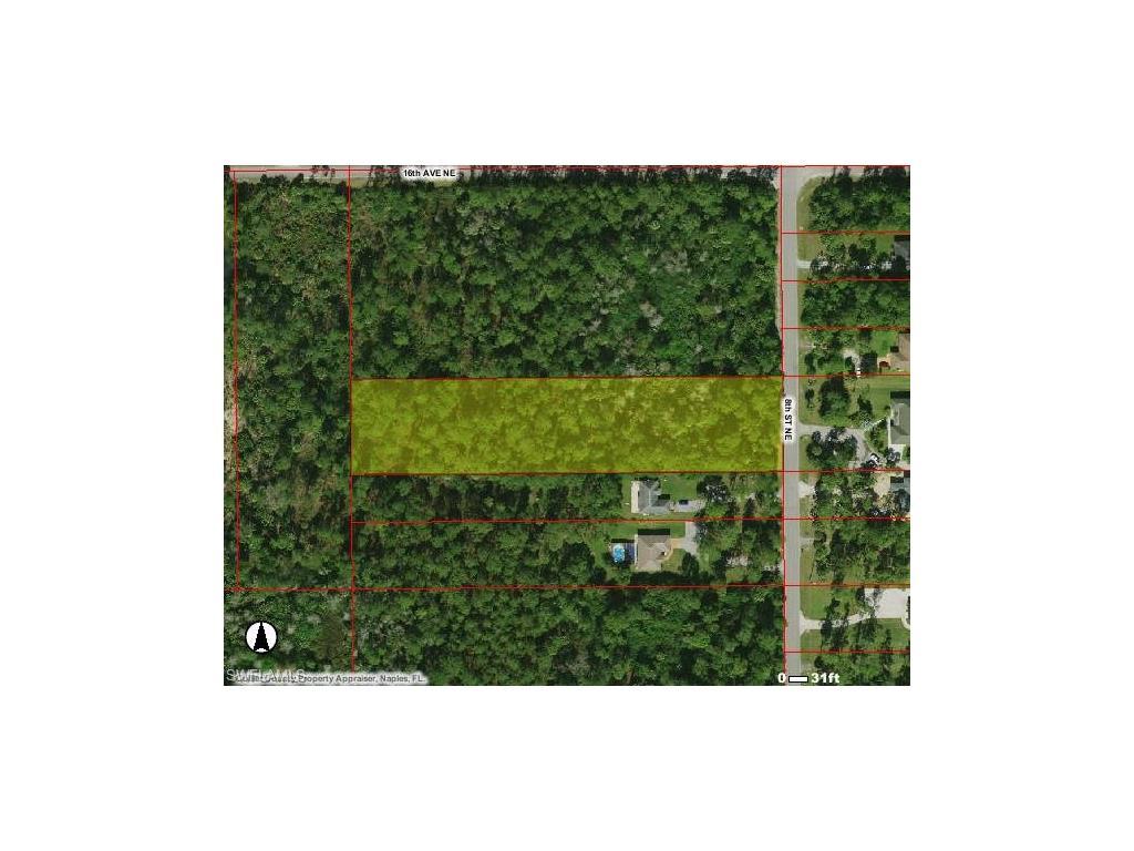 1541 8th St NE, Naples, FL 34120 (#216040796) :: Homes and Land Brokers, Inc