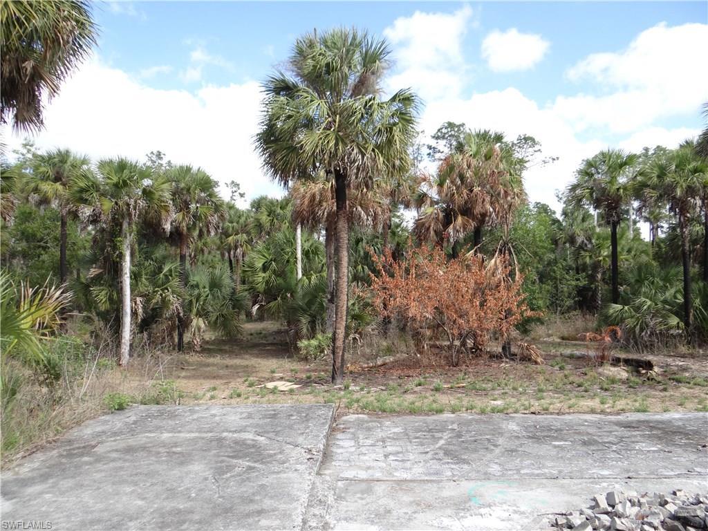 4681 13th Ave - Photo 1