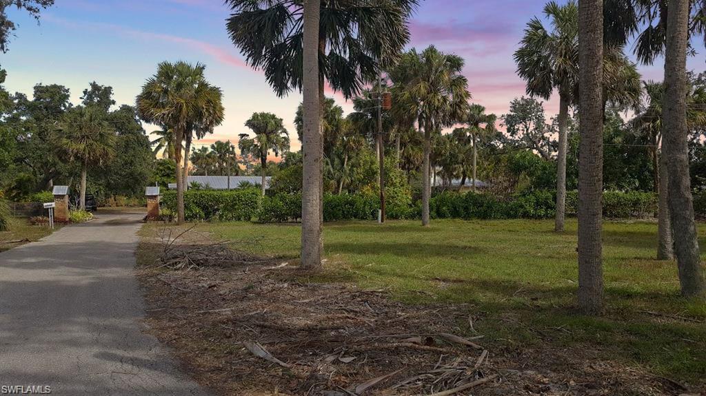 27591 Grove Rd - Photo 1