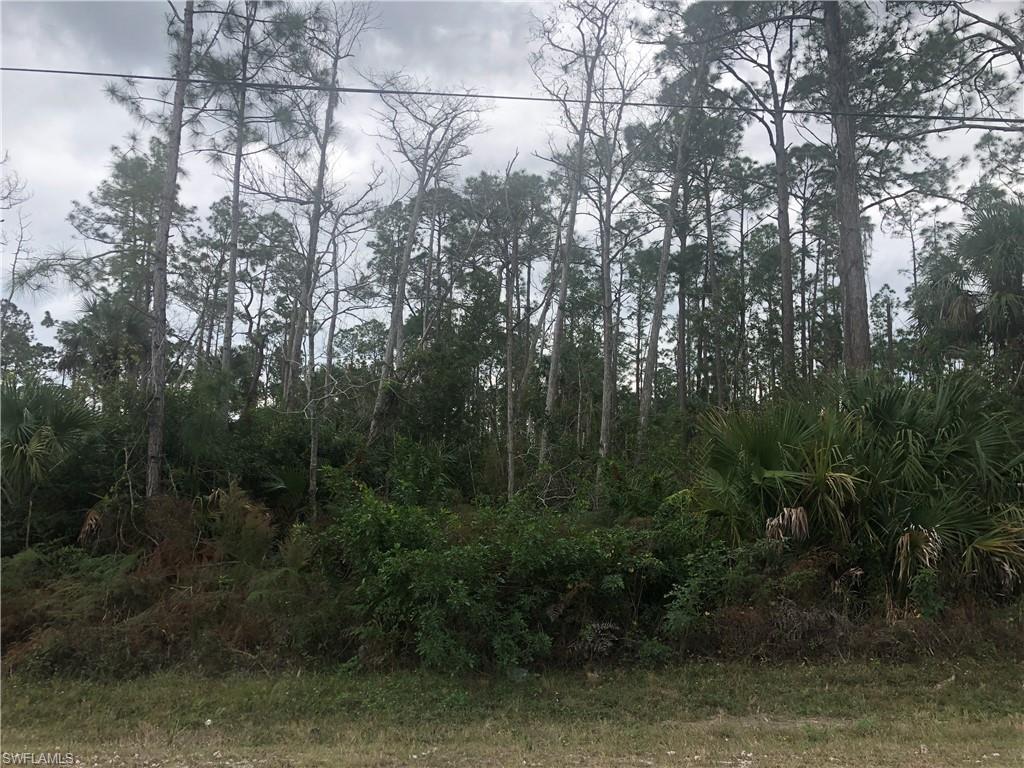 2620 18th Ave - Photo 1