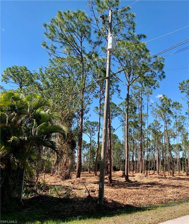 24032 Golden Eagle Ln - Photo 1