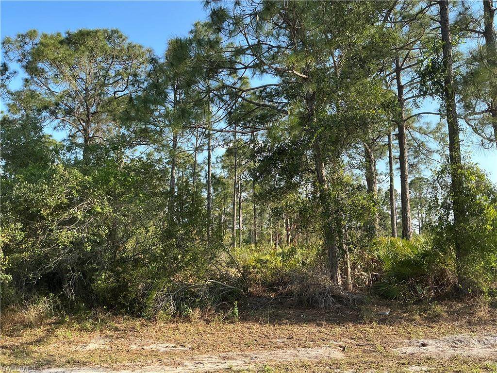 918 Beverly St - Photo 1