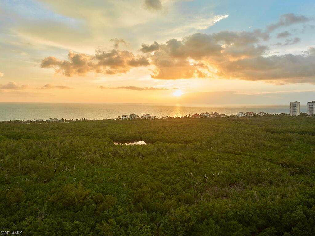 7225 Pelican Bay Blvd - Photo 1