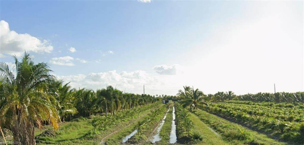 2 127TH Ave - Photo 1