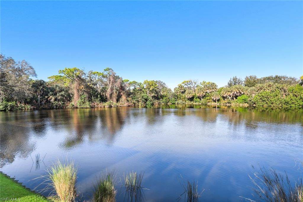 27030 Lake Harbor Ct - Photo 1