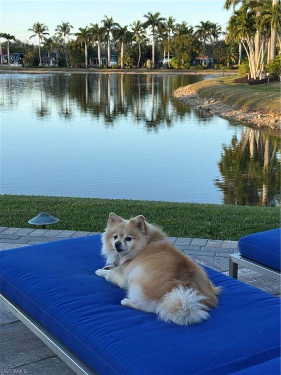 4437 Southern Breeze Dr - Photo 1