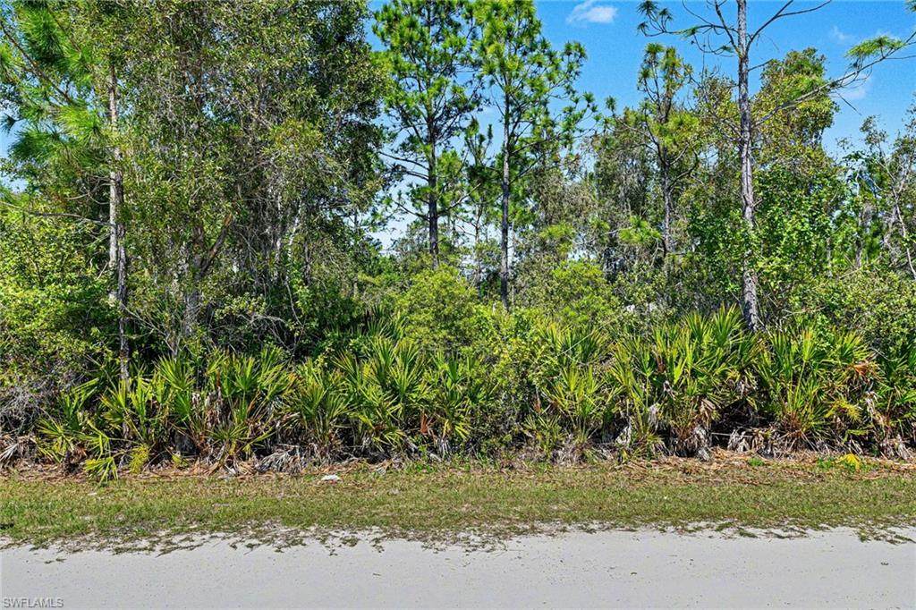12097 Platano Dr - Photo 1