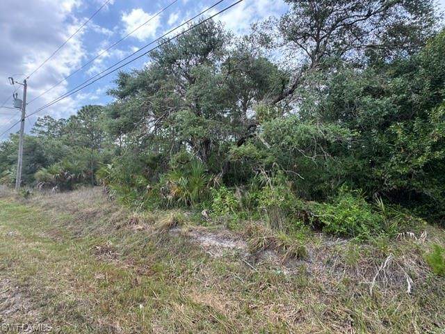  70th Ave - Photo 1