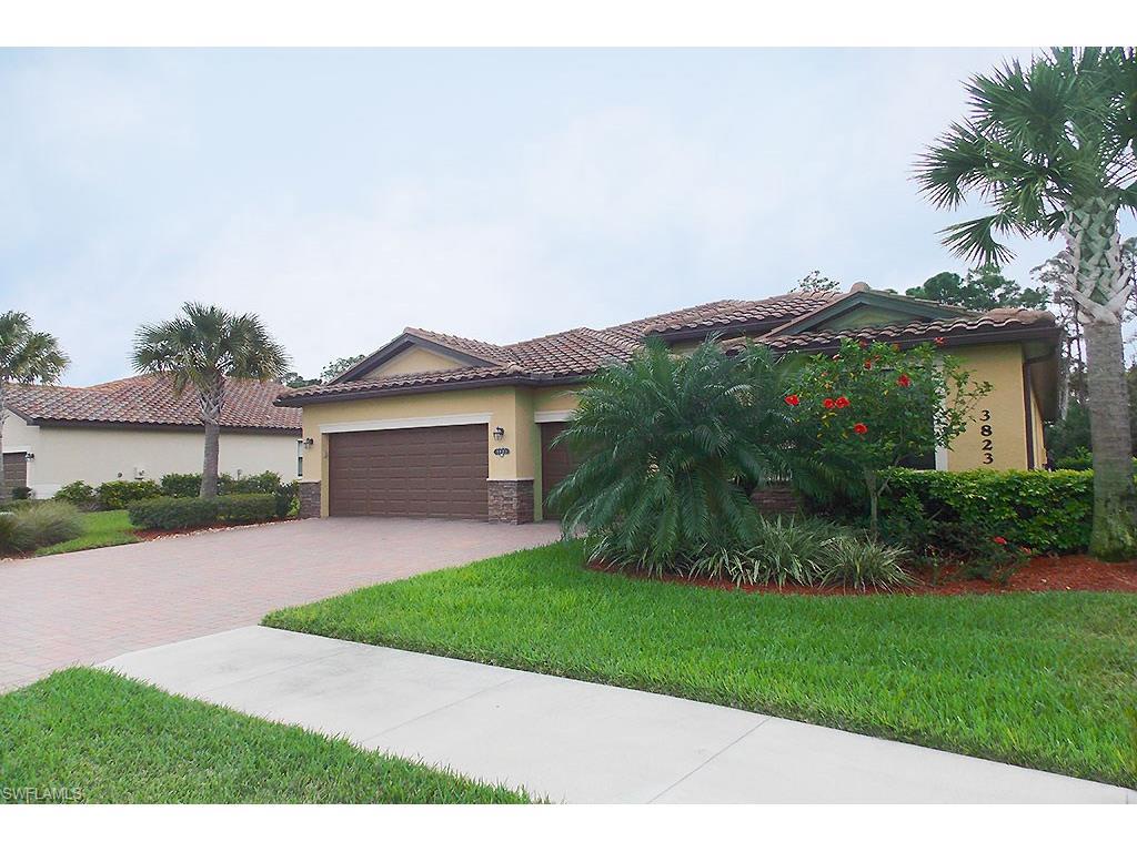3823 Treasure Cove Cir - Photo 1