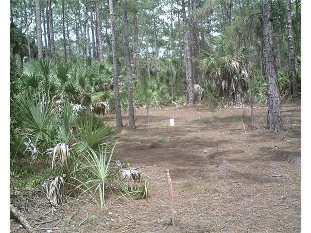 Pheasant Roost Trail Trl - Photo 1
