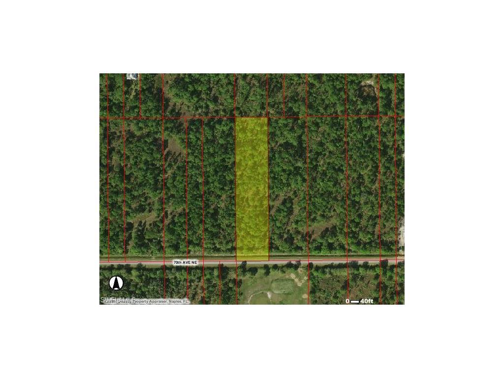 3463 70th Ave, Naples, FL 34120 (#216058134) :: Homes and Land Brokers, Inc