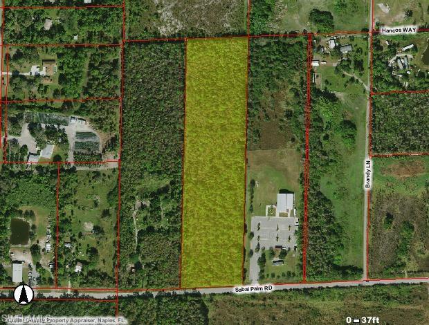 Sabal Palm Rd - Photo 1