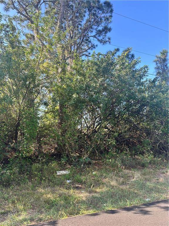 3401 38th St - Photo 1
