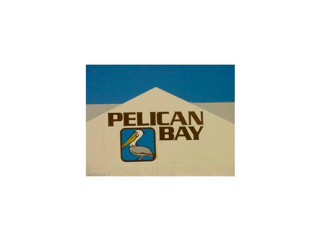 6101 Pelican Bay Blvd - Photo 1