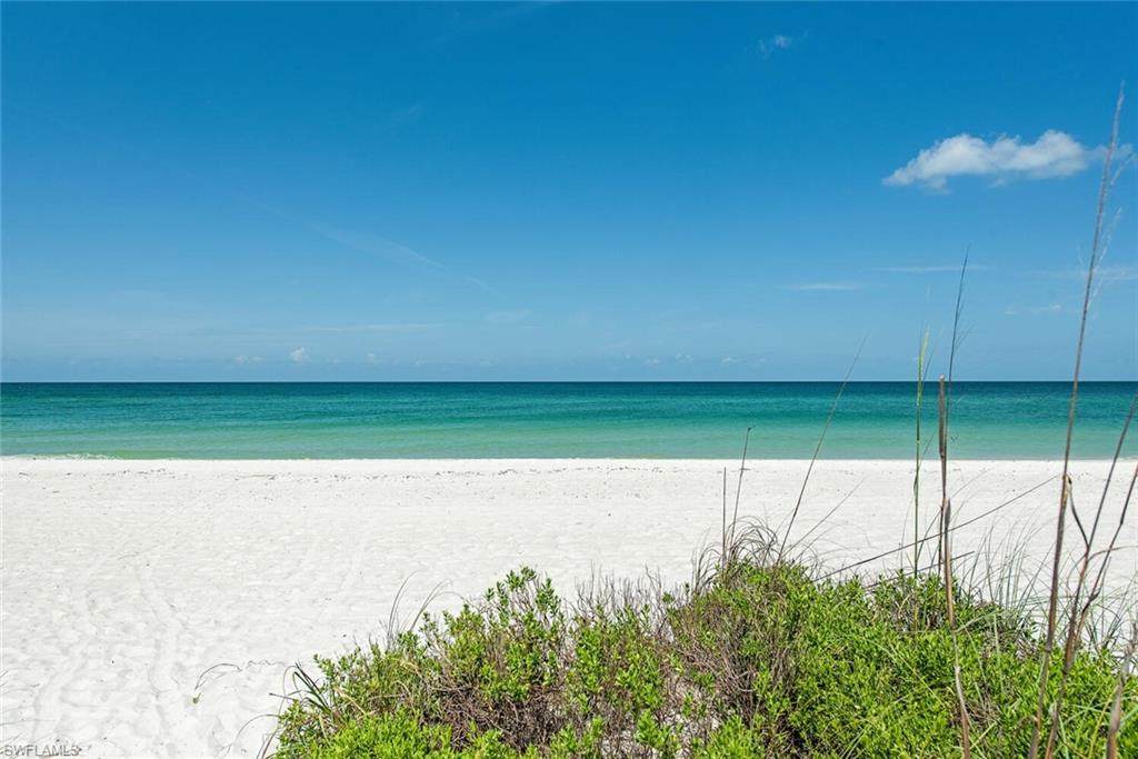 2500 Gulf Shore Blvd - Photo 1