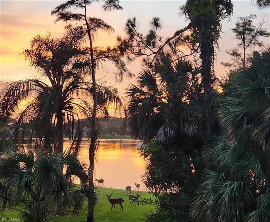 2066 Imperial Cir - Photo 1