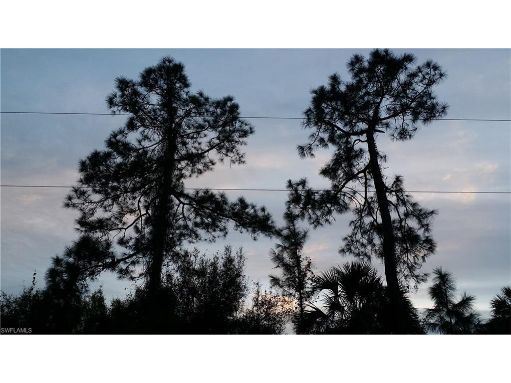 000 20TH Ave SE, Naples, FL 34117 (#216004671) :: Homes and Land Brokers, Inc