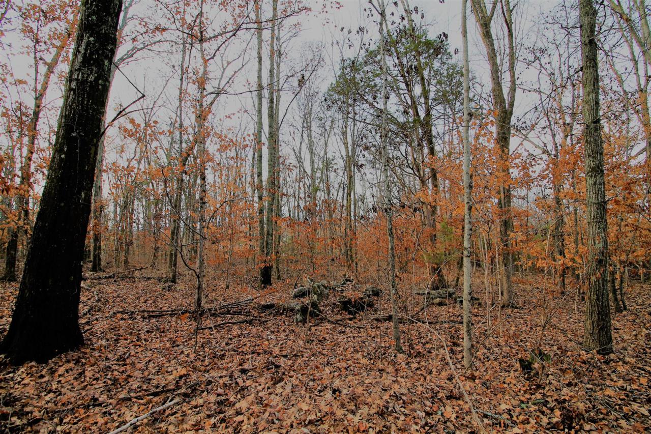 9913 Maupin Rd - Photo 1