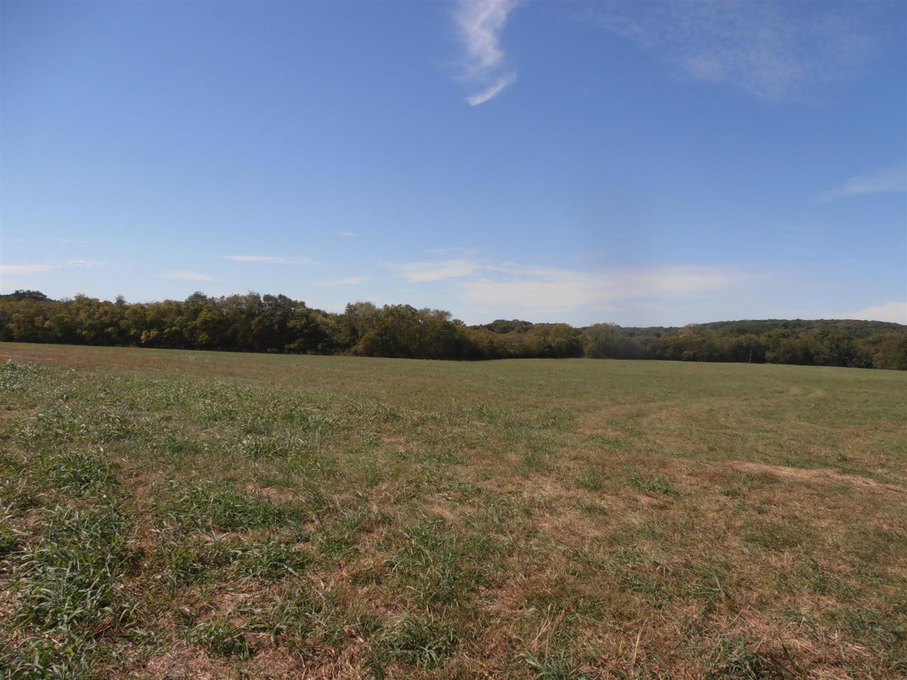0 Cairo Bend Rd - Photo 1