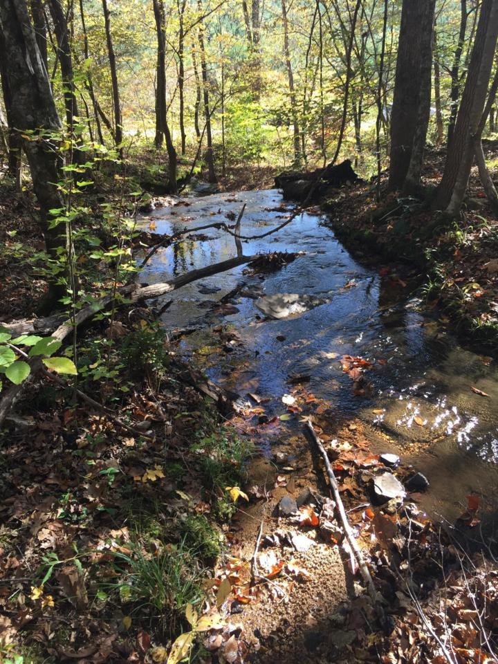 0 Cotton Branch Rd - Photo 1