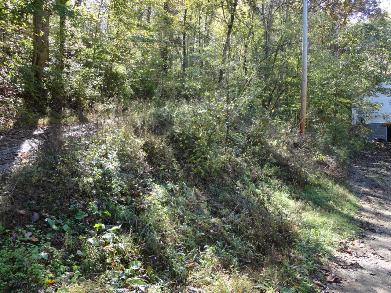 0 Bruer Dr - Photo 1