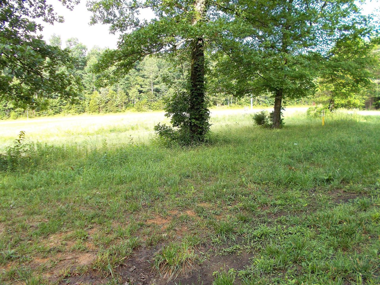 0 Lick Creek Rd - Photo 1