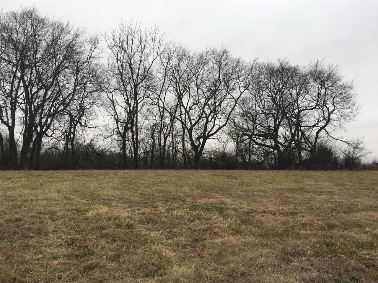 239 Morning Star Ln - Photo 1