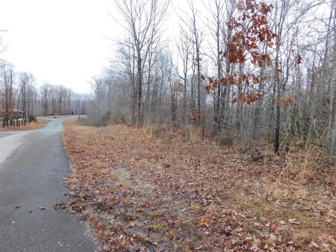 0 Mayne Trace Rd - Photo 1