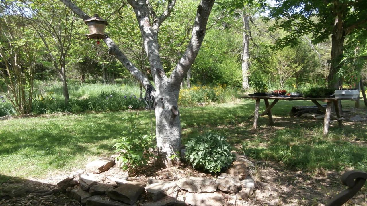 130 Wagoner Hill Rd - Photo 1