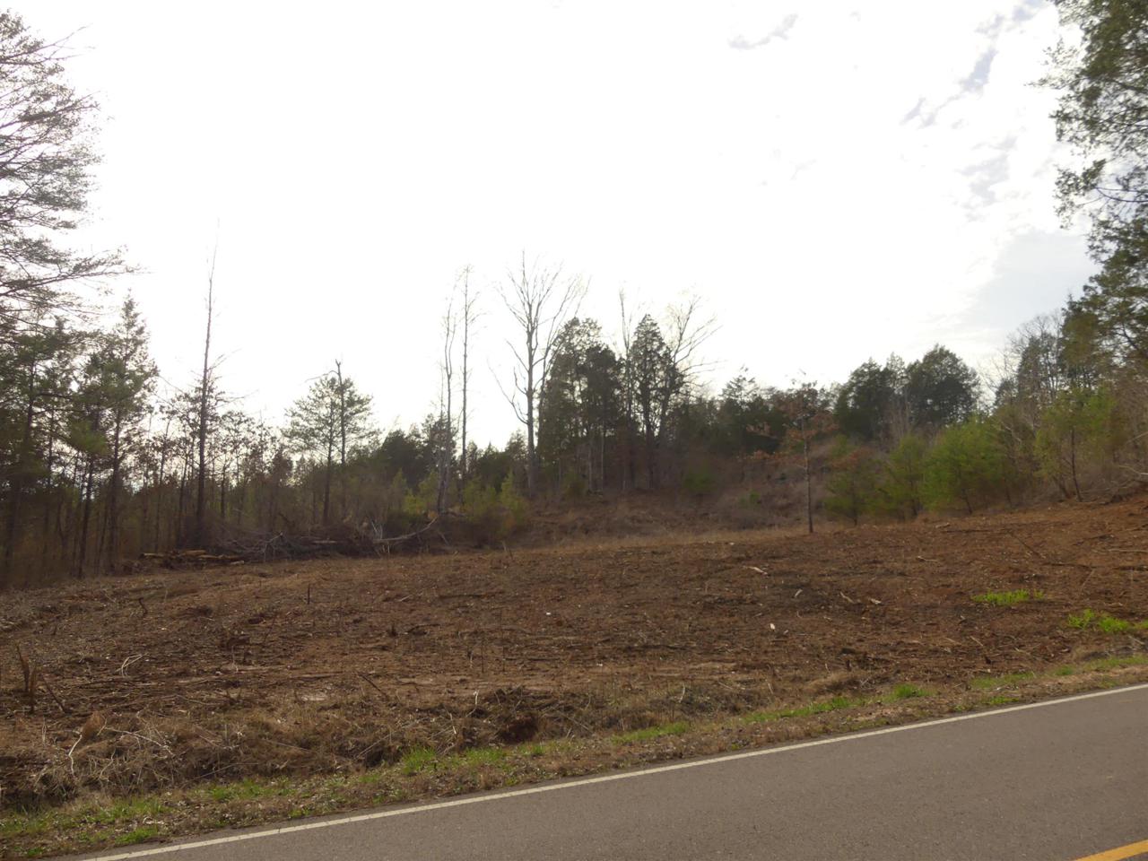 0 Mt Carmel Rd - Photo 1