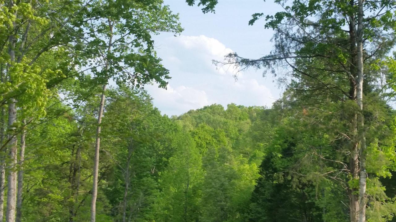 1 Sugar Camp Hollow Rd - Photo 1