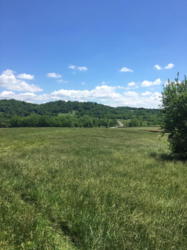 0 Wartrace Creek Rd - Photo 1