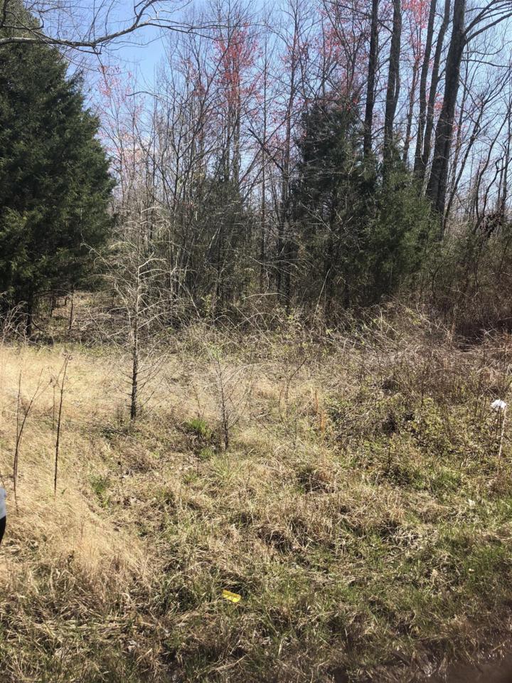 1 Hillsboro Viola Rd - Photo 1