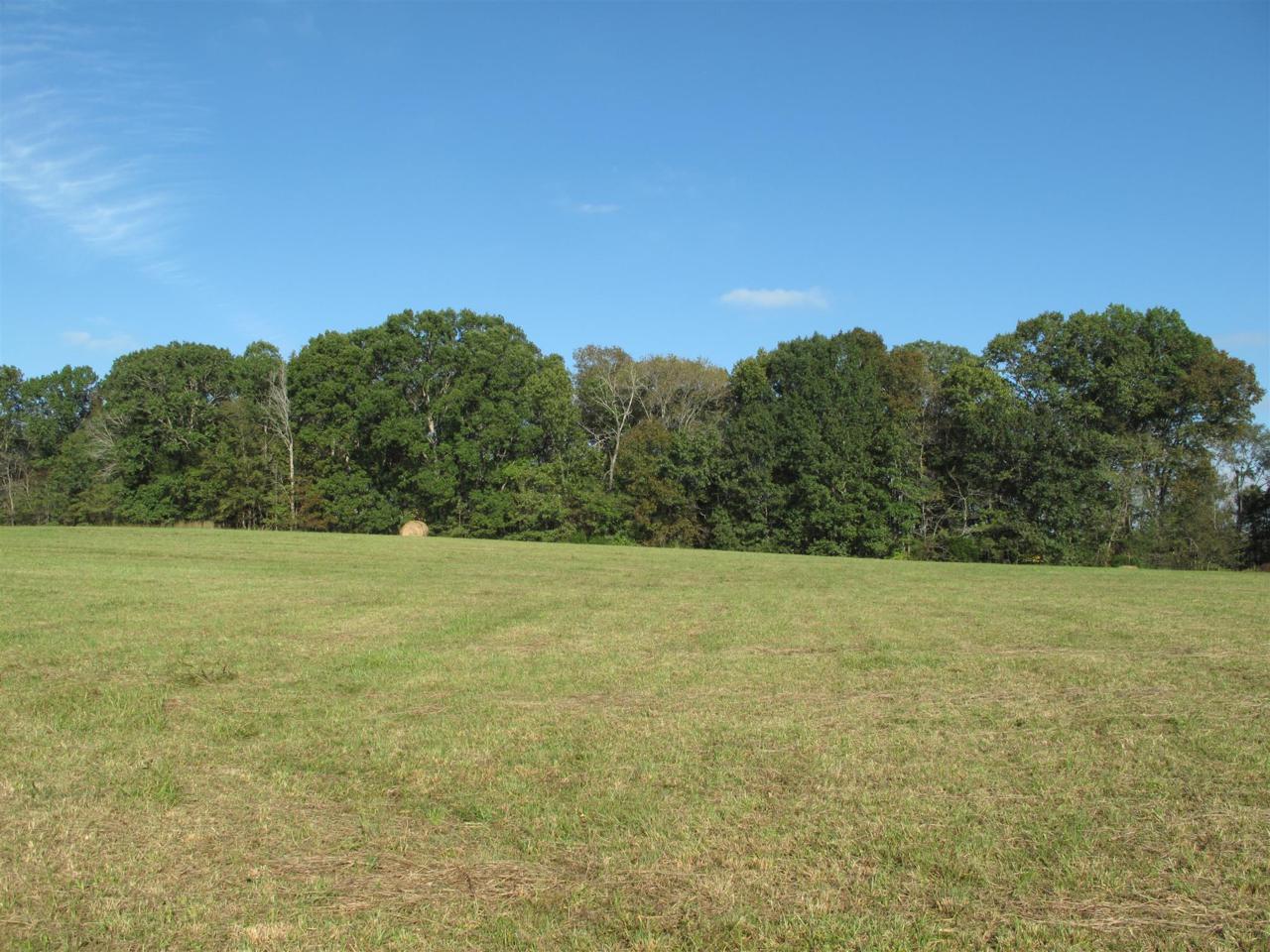3066 Highway 431 - Photo 1